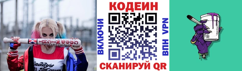 Купить закладки  Петропавловск-Камчатский  Кодеин напиток Lean (лин) 