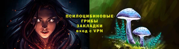 твердый Кукмор