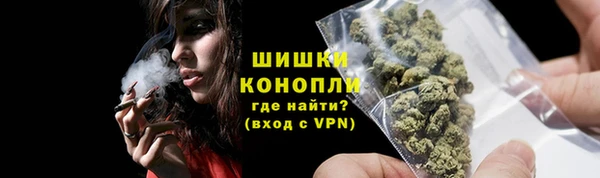 индика Куйбышев