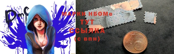 индика Куйбышев