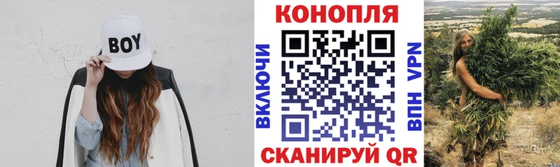 Марихуана White Widow Купить закладки Петропавловск-Камчатский